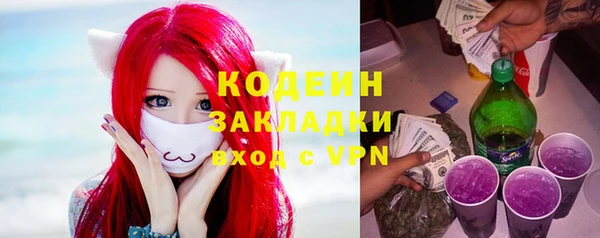 прущие грибы Сосновый Бор