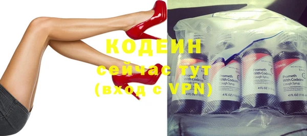 прущие грибы Сосновый Бор