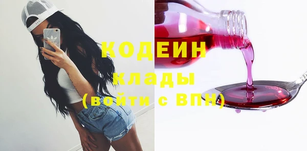 прущие грибы Сосновый Бор